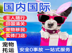 厦门高崎机场货运国际宠物托运 【国